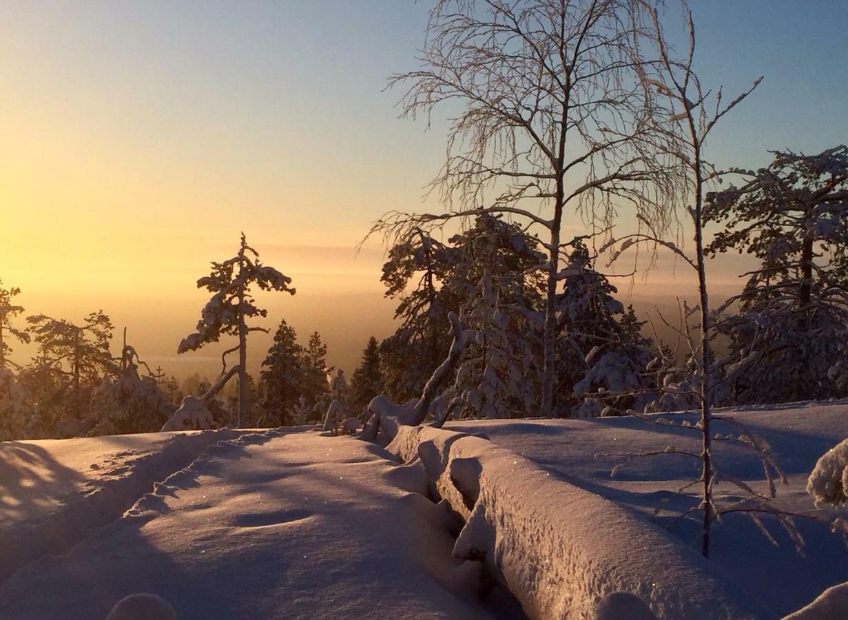 Villa Happy Fox Rovaniemi Luaran gambar